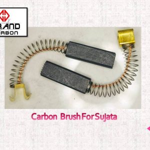 Carbon Brush Sujata