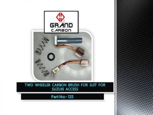 Starter Carbon Brush